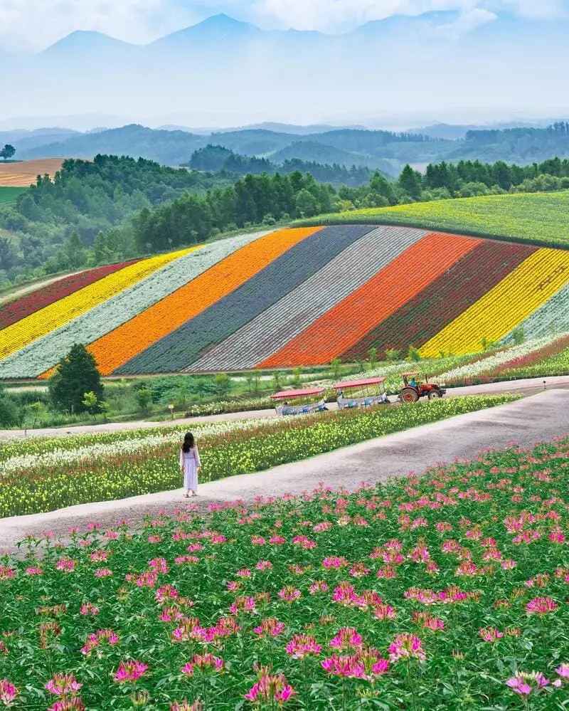 Du lịch Hokkaido m&ugrave;a h&egrave;, kh&aacute;m ph&aacute; loạt thắng cảnh ấn tượng 5