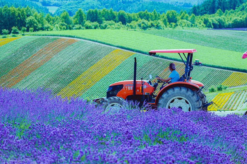 Du lịch Hokkaido m&ugrave;a h&egrave;, kh&aacute;m ph&aacute; loạt thắng cảnh ấn tượng 3