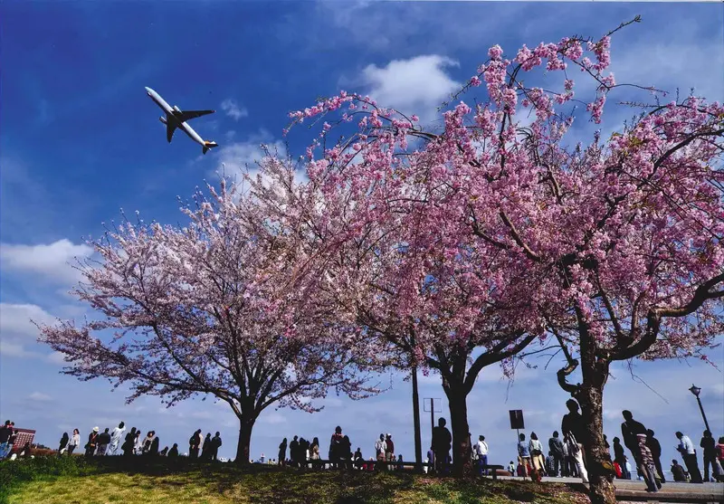 Du lịch Narita, kh&aacute;m ph&aacute; th&agrave;nh phố cổ k&iacute;nh của xứ sở Ph&ugrave; Tang 8