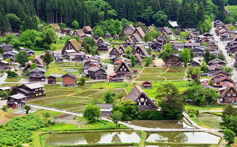 Gifu Nhật Bản: Vẻ đẹp h&agrave;i h&ograve;a giữa thi&ecirc;n nhi&ecirc;n v&agrave; lịch sử 2