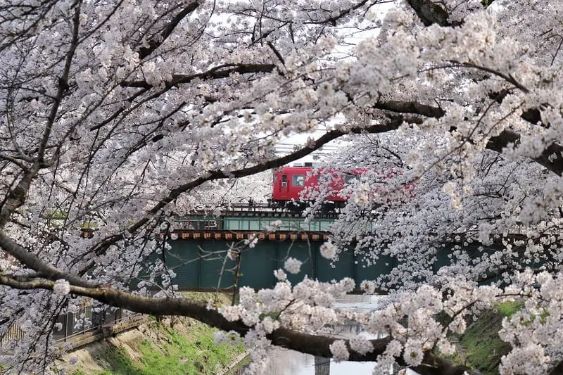 Gifu Nhật Bản: Vẻ đẹp h&agrave;i h&ograve;a giữa thi&ecirc;n nhi&ecirc;n v&agrave; lịch sử 15
