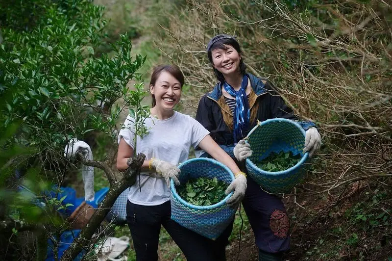 Kamikatsu thị trấn kh&ocirc;ng r&aacute;c thải h&agrave;i h&ograve;a với thi&ecirc;n nhi&ecirc;n tại Nhật Bản 8