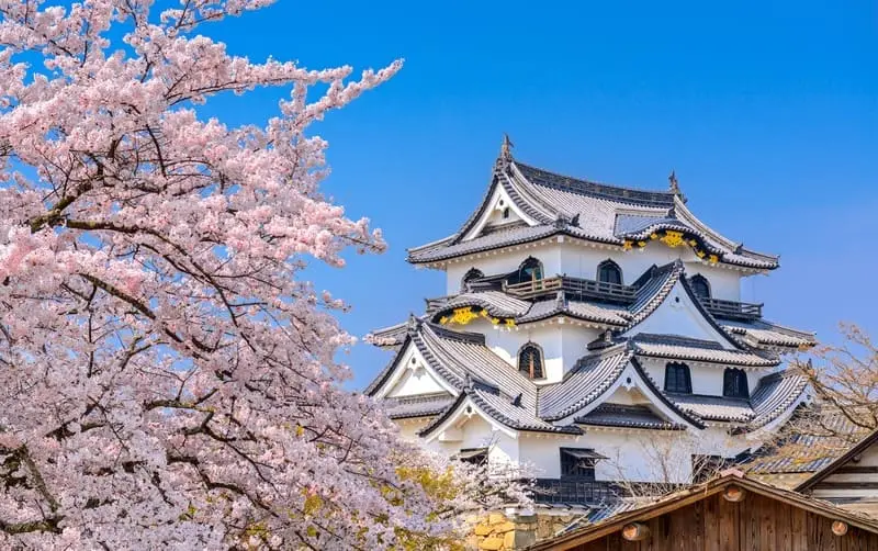 Kansai: Mảnh đất của truyền thống v&agrave; văn h&oacute;a Nhật Bản 4