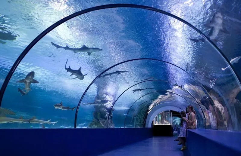Kansai: Mảnh đất của truyền thống v&agrave; văn h&oacute;a Nhật Bản 10