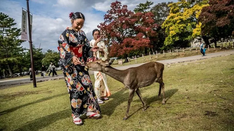 Kansai: Mảnh đất của truyền thống v&agrave; văn h&oacute;a Nhật Bản 22