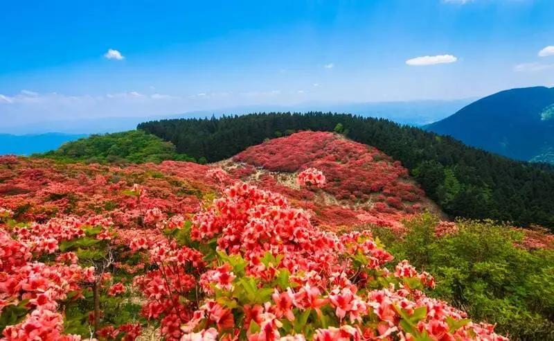 Kansai: Mảnh đất của truyền thống v&agrave; văn h&oacute;a Nhật Bản 21