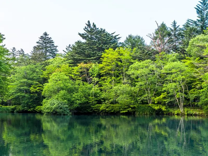 Kh&aacute;m ph&aacute; Karuizawa, thi&ecirc;n đường nghỉ dưỡng m&ugrave;a h&egrave; của Nhật Bản 4
