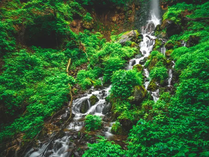 Kh&aacute;m ph&aacute; Karuizawa, thi&ecirc;n đường nghỉ dưỡng m&ugrave;a h&egrave; của Nhật Bản 3