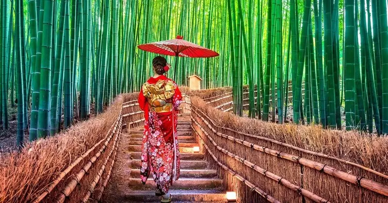 Kh&aacute;m ph&aacute; rừng tre Sagano, m&ecirc; cung xanh mướt giữa l&ograve;ng Kyoto 3