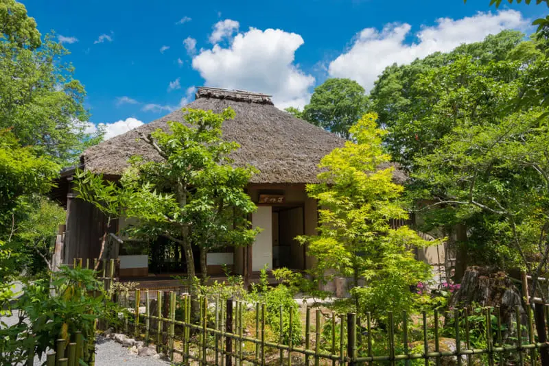 Kh&aacute;m ph&aacute; rừng tre Sagano, m&ecirc; cung xanh mướt giữa l&ograve;ng Kyoto 8