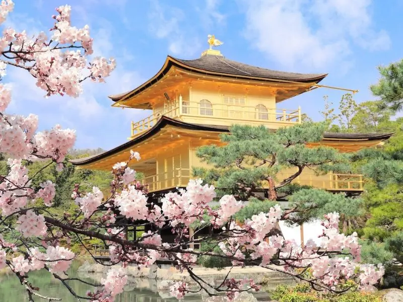 Kinh nghiệm du lịch Golden Week: Trải nghiệm tuyệt vời tại Nhật Bản 3