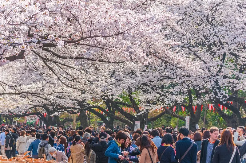 Kinh nghiệm du lịch Tokyo với v&ocirc; v&agrave;n trải nghiệm m&atilde;n nh&atilde;n 7