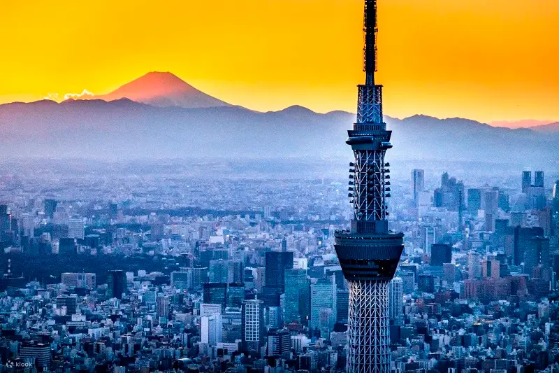 Kinh nghiệm du lịch Tokyo với v&ocirc; v&agrave;n trải nghiệm m&atilde;n nh&atilde;n 9