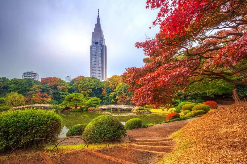 Kinh nghiệm du lịch Tokyo với v&ocirc; v&agrave;n trải nghiệm m&atilde;n nh&atilde;n 17