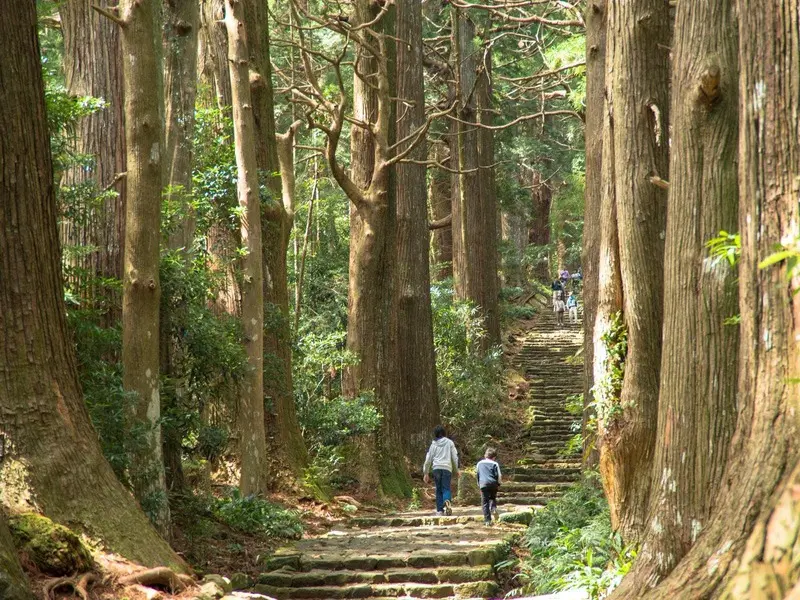 Kumano Kodo Nhật Bản tuyến đường hành hương đến với các vị thần 2