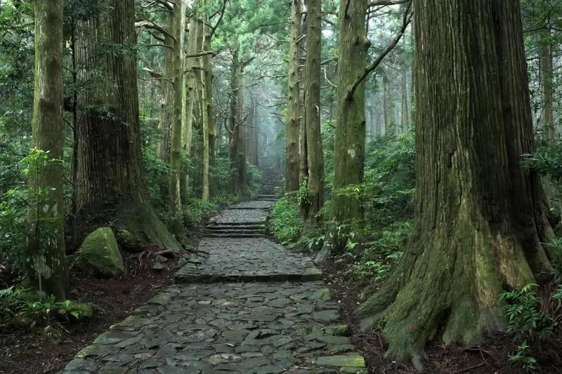 Kumano Kodo Nhật Bản tuyến đường hành hương đến với các vị thần 9