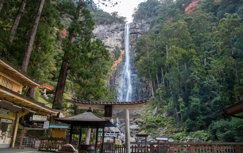 Kumano Kodo Nhật Bản tuyến đường hành hương đến với các vị thần 11