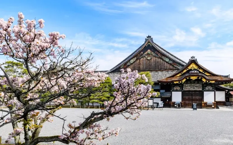 Kyoto: Cố đ&ocirc; ng&agrave;n năm v&agrave; h&agrave;nh tr&igrave;nh chạm linh hồn Nhật Bản 7
