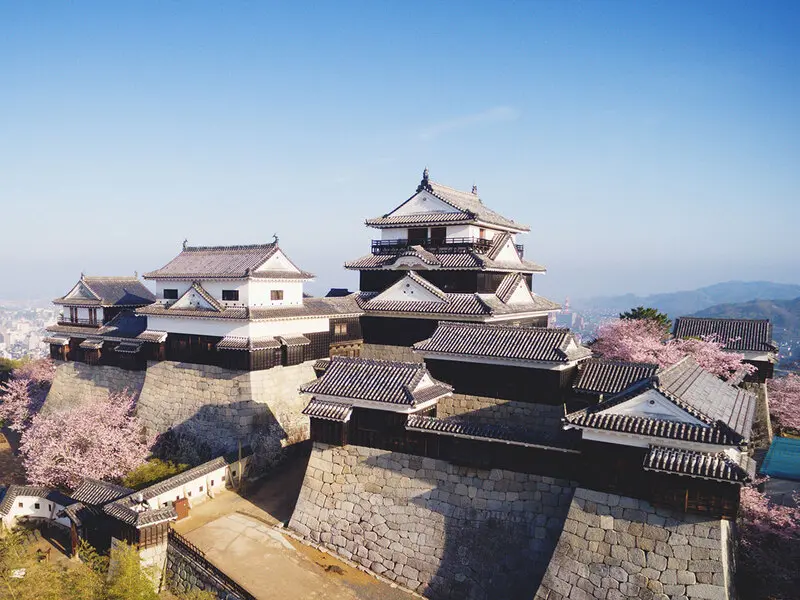 Matsuyama quê hương của thơ haiku hiện đại Nhật Bản 5