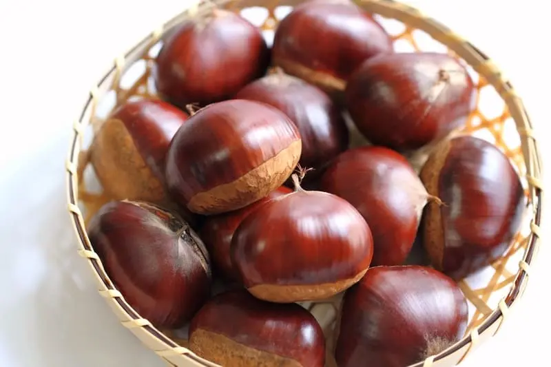 M&ugrave;a thu Nhật Bản, kh&uacute;c h&ograve;a ca của c&acirc;y cỏ v&agrave; hương thơm đất trời 3