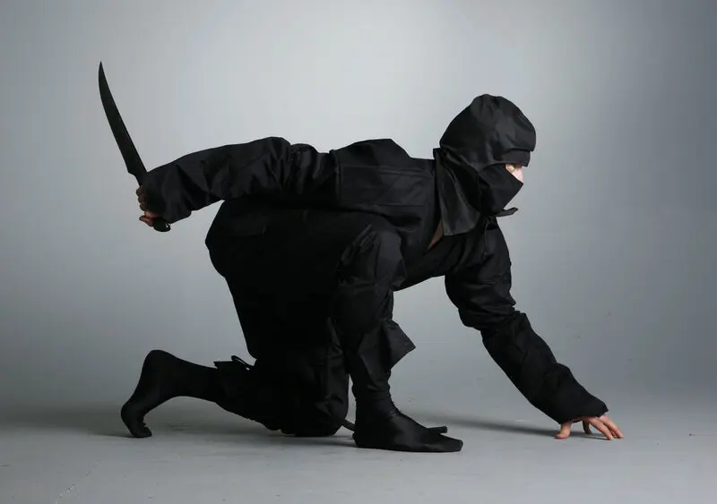 Ninja Nhật Bản, danh xưng c&oacute; thật hay chỉ l&agrave; c&acirc;u chuyện truyền thuyết? 4
