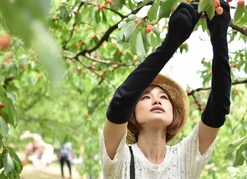 Otsuki cửa ng&otilde; dẫn đến biểu tượng n&uacute;i Ph&uacute; Sĩ linh thi&ecirc;ng Nhật Bản 10