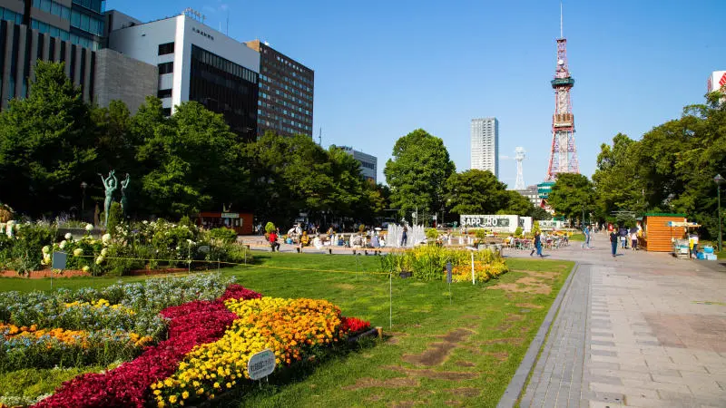 Review du lịch Sapporo Hokkaido Nhật Bản xinh đẹp, th&uacute; vị 9
