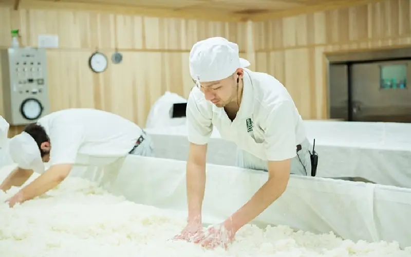 Rượu Sake l&agrave; g&igrave;? Kh&aacute;m ph&aacute; tinh hoa ẩm thực Nhật Bản qua từng giọt rượu 6