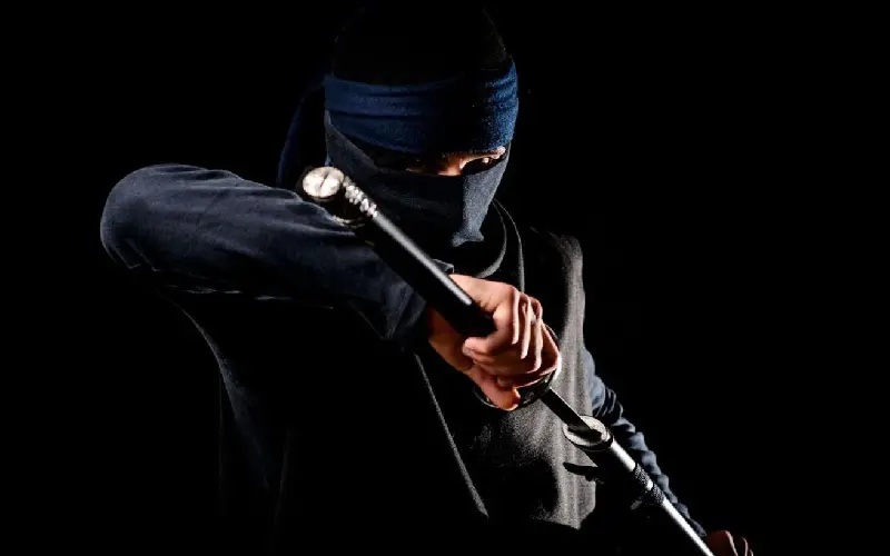 Shinobi l&agrave; g&igrave;? H&eacute; lộ sự thật về những chiến binh trong b&oacute;ng tối của Nhật Bản 5