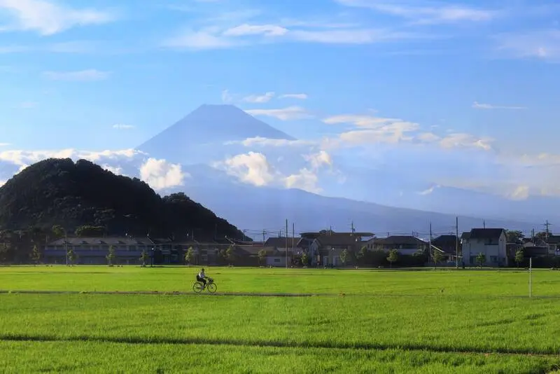 Shizuoka điểm đến hướng về n&uacute;i Ph&uacute; Sĩ linh thi&ecirc;ng của Nhật Bản 4