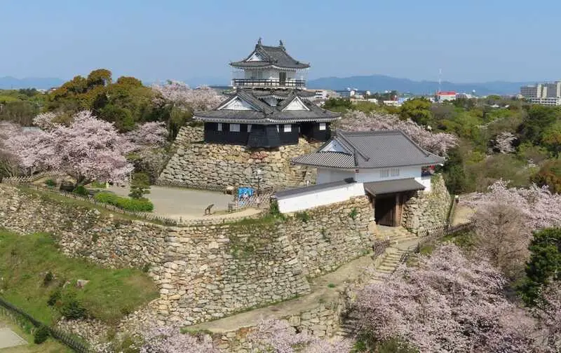 Shizuoka điểm đến hướng về n&uacute;i Ph&uacute; Sĩ linh thi&ecirc;ng của Nhật Bản 9
