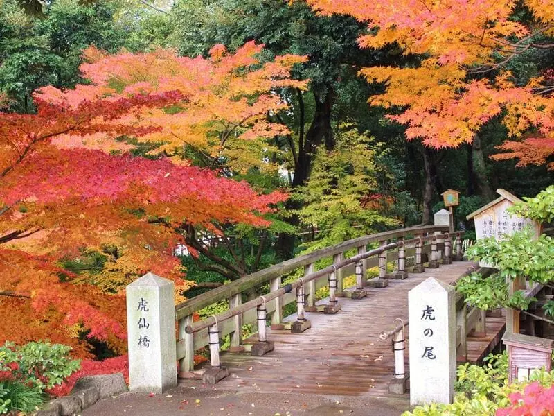 Tỉnh Aichi mảnh đất của l&acirc;u đ&agrave;i v&agrave; samurai tại Nhật Bản 6