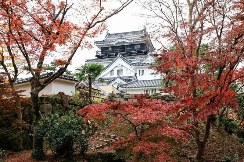 Tỉnh Aichi mảnh đất của l&acirc;u đ&agrave;i v&agrave; samurai tại Nhật Bản 10