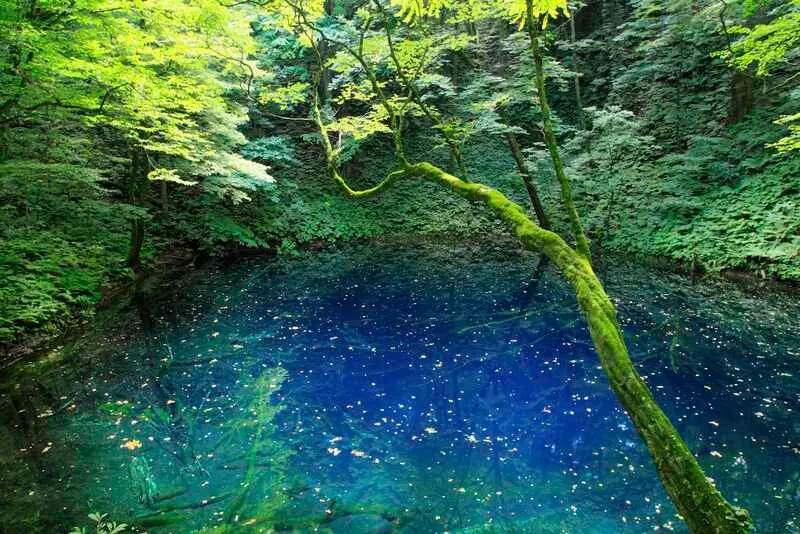 Tỉnh Aomori nơi thi&ecirc;n nhi&ecirc;n tuyệt mỹ giữa Tohoku Nhật Bản 6