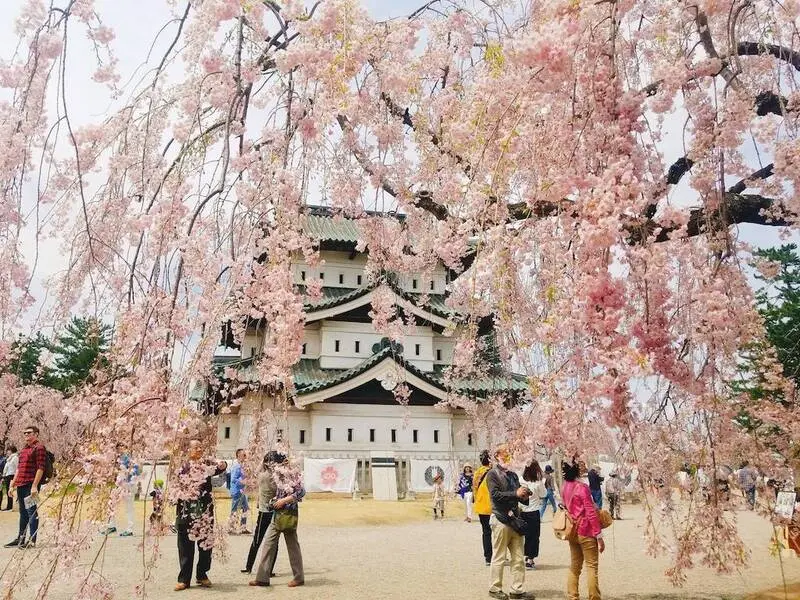 Tỉnh Aomori nơi thi&ecirc;n nhi&ecirc;n tuyệt mỹ giữa Tohoku Nhật Bản 2