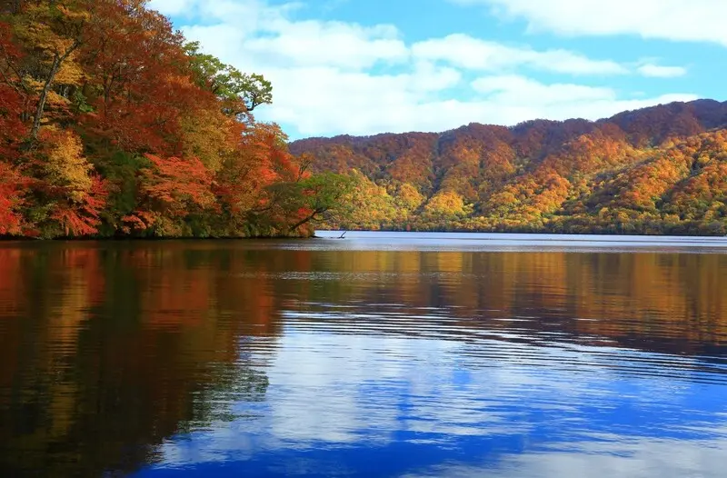 Tỉnh Aomori nơi thi&ecirc;n nhi&ecirc;n tuyệt mỹ giữa Tohoku Nhật Bản 5