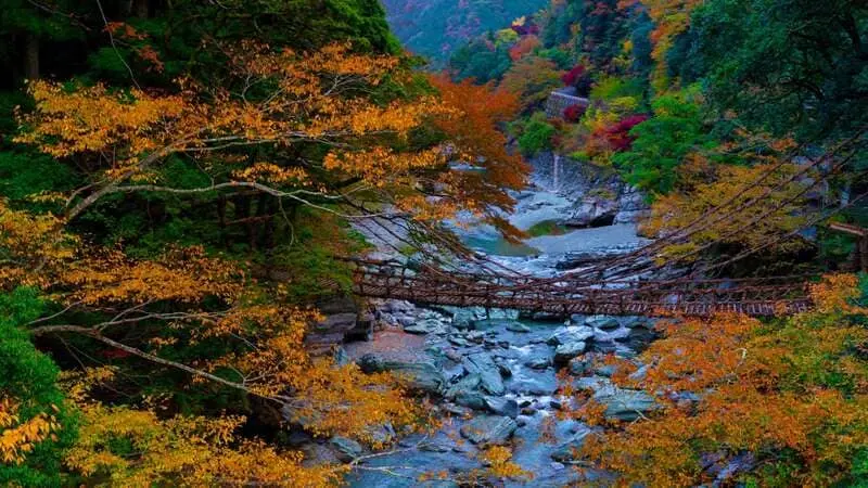 Tokushima nơi t&igrave;m kiếm hương vị Nhật Bản đ&iacute;ch thực 6