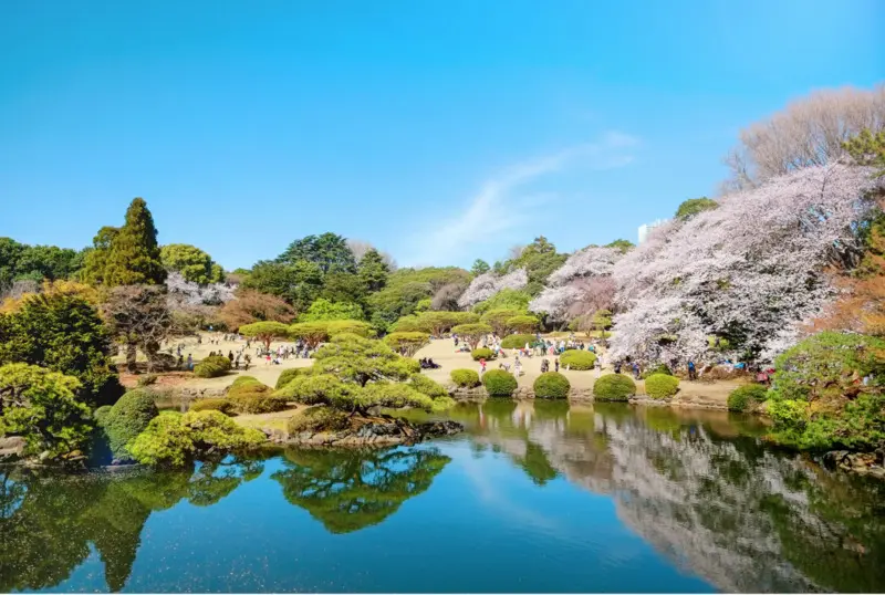 Vườn Quốc gia Shinjuku Gyoen màu sắc tương phản giữa Tokyo nhộn nhịp 6