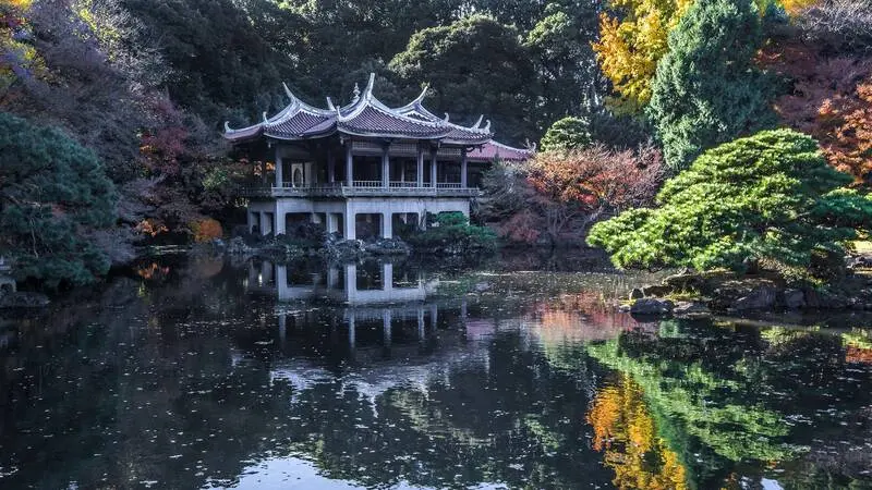 Vườn Quốc gia Shinjuku Gyoen màu sắc tương phản giữa Tokyo nhộn nhịp 7