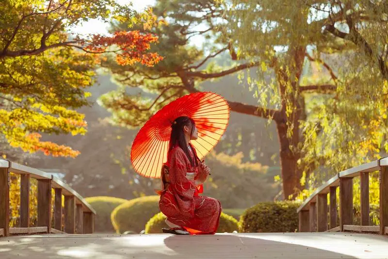 Vườn Quốc gia Shinjuku Gyoen màu sắc tương phản giữa Tokyo nhộn nhịp 3