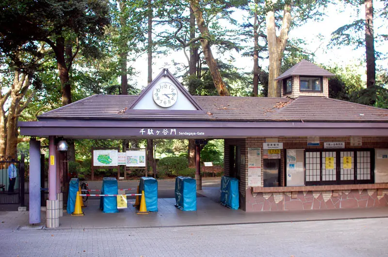 Vườn Quốc gia Shinjuku Gyoen màu sắc tương phản giữa Tokyo nhộn nhịp 5