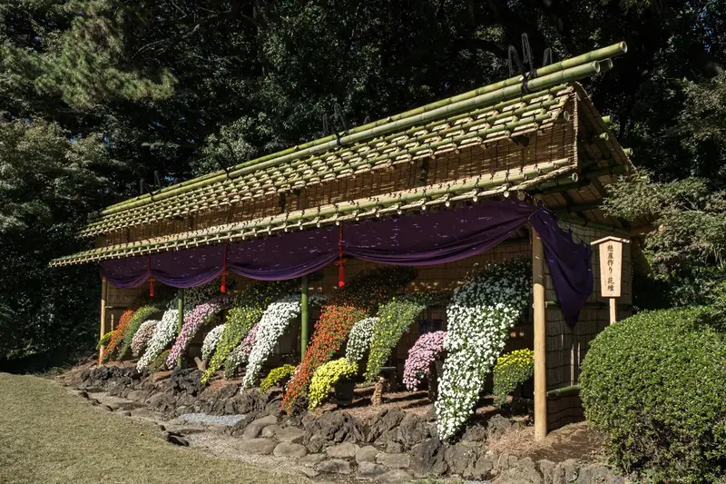 Vườn Quốc gia Shinjuku Gyoen màu sắc tương phản giữa Tokyo nhộn nhịp 10