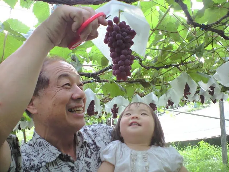 Yamanashi qu&ecirc; hương của ngọn n&uacute;i Ph&uacute; Sĩ Nhật Bản 13