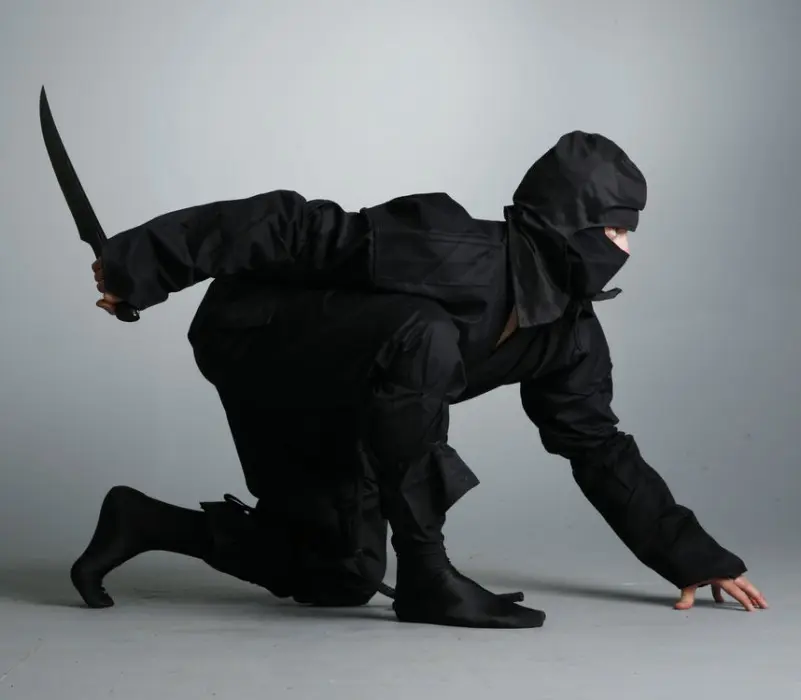 Ninja Nhật Bản, danh xưng có thật hay chỉ là câu chuyện truyền thuyết?