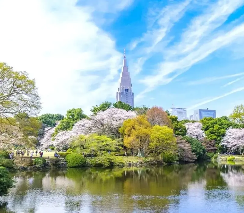 Vườn Quốc gia Shinjuku Gyoen màu sắc tương phản giữa Tokyo nhộn nhịp