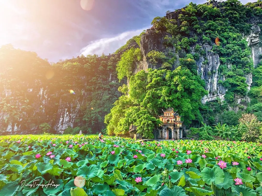 Kh&aacute;m ph&aacute; c&aacute;c m&oacute;n ăn từ sen tươi Ninh B&igrave;nh với hương vị đồng qu&ecirc; 3