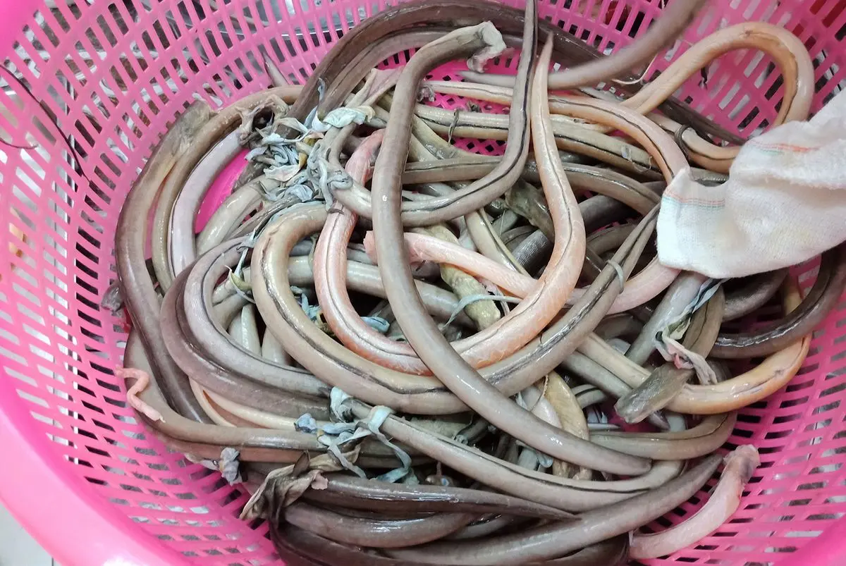 L&ecirc;n đường thưởng thức trọn vẹn m&oacute;n ngon Ninh B&igrave;nh trong một ng&agrave;y 8