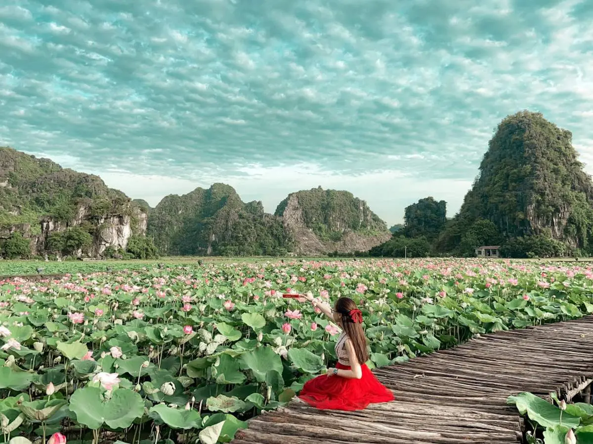 Đầm sen Hang M&uacute;a Ninh B&igrave;nh n&ecirc;n thơ qua ống k&iacute;nh c&ocirc; n&agrave;ng L&acirc;m Hy 6