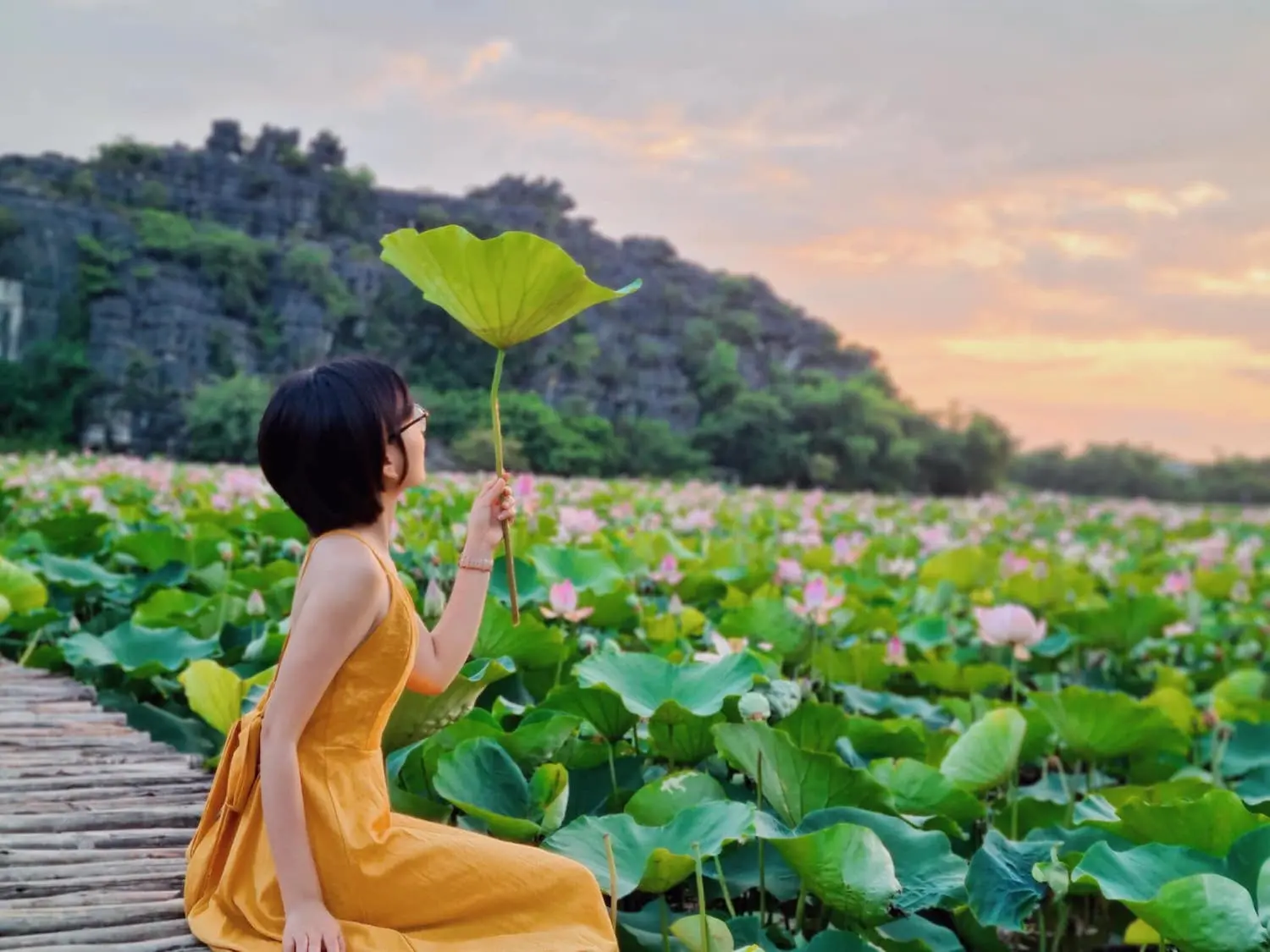 Đầm sen Hang M&uacute;a Ninh B&igrave;nh n&ecirc;n thơ qua ống k&iacute;nh c&ocirc; n&agrave;ng L&acirc;m Hy 3