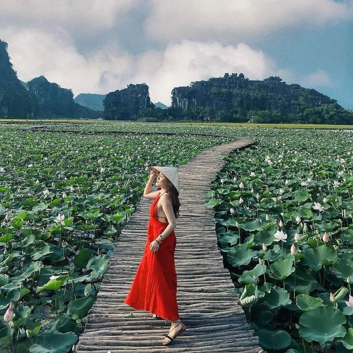 Đầm sen Hang M&uacute;a Ninh B&igrave;nh n&ecirc;n thơ qua ống k&iacute;nh c&ocirc; n&agrave;ng L&acirc;m Hy 5